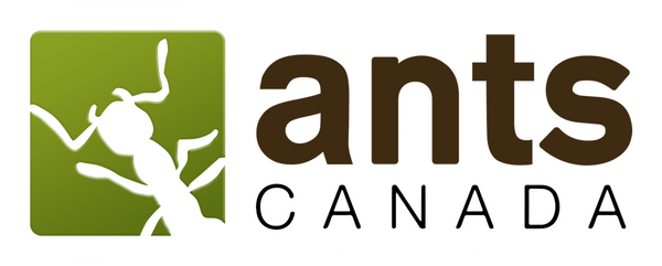 AntsCanada